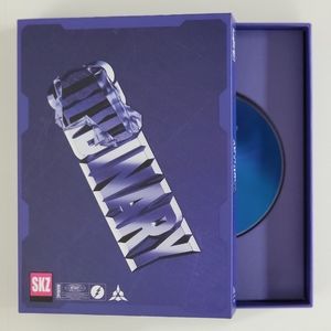 Stray Kids Oddinary Scanning Version